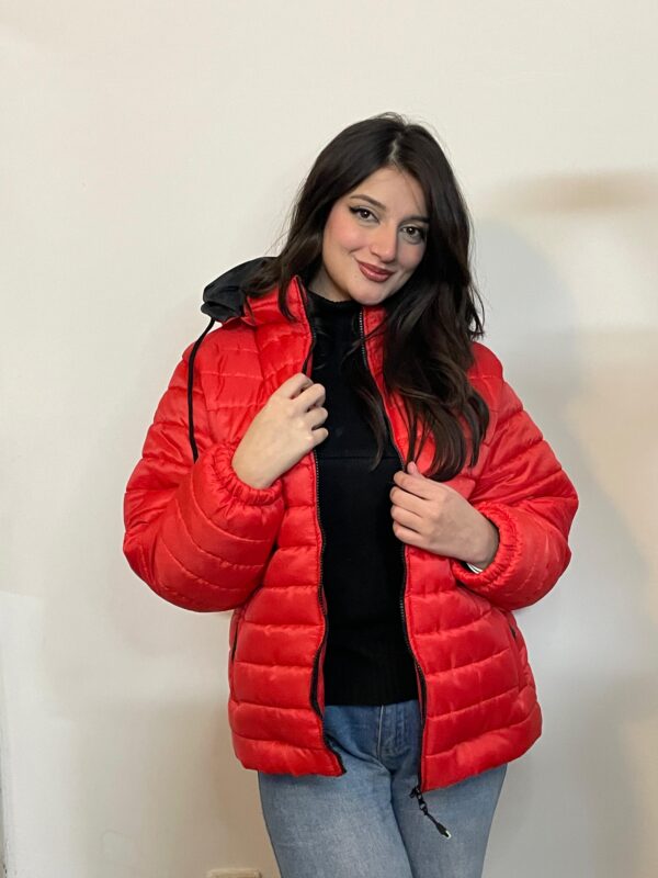 Puffer Jacket with Deattachable Hoodie - Image 3